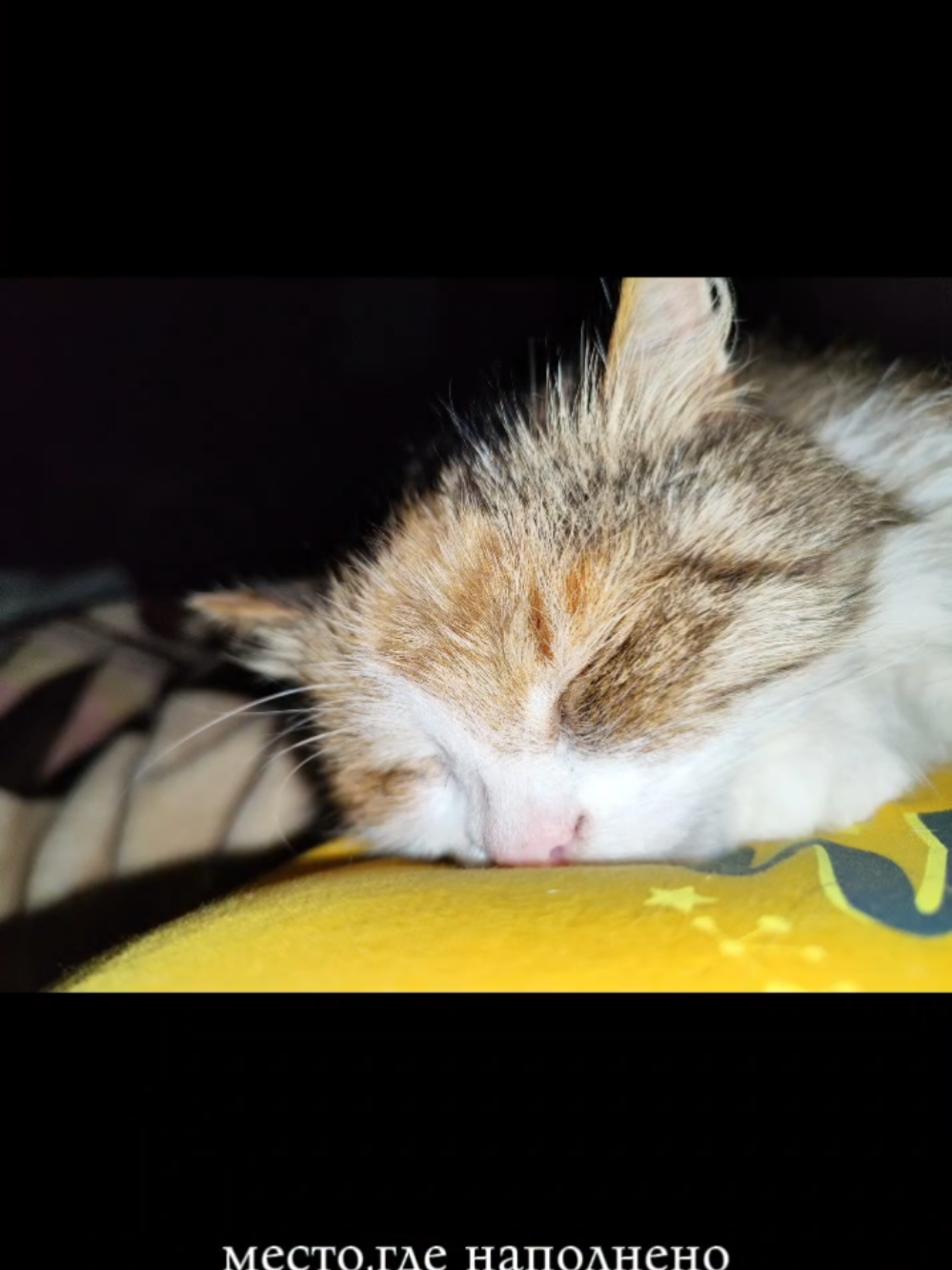 @Катюша 💞