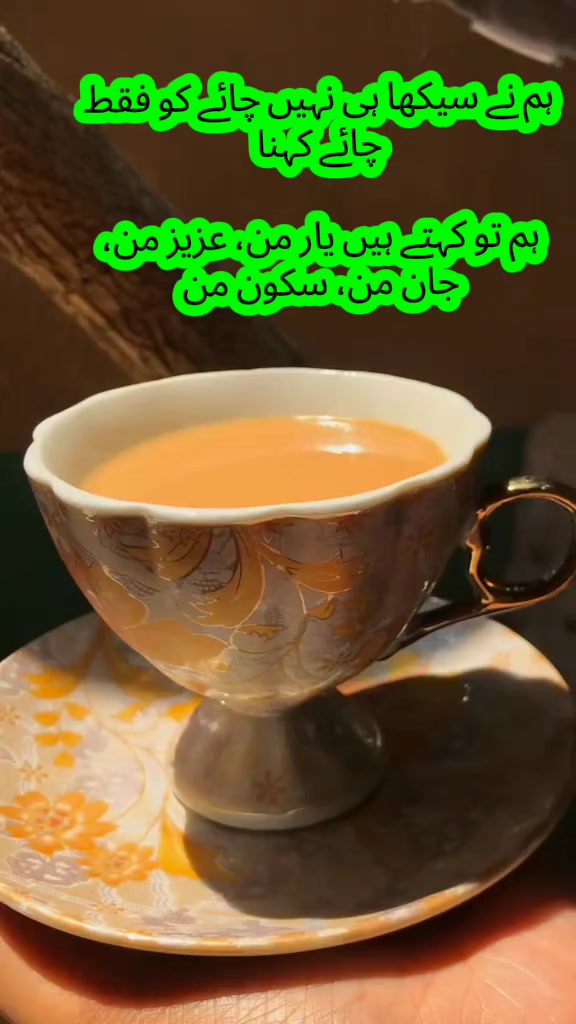 @MIAN FAحAD 🍁