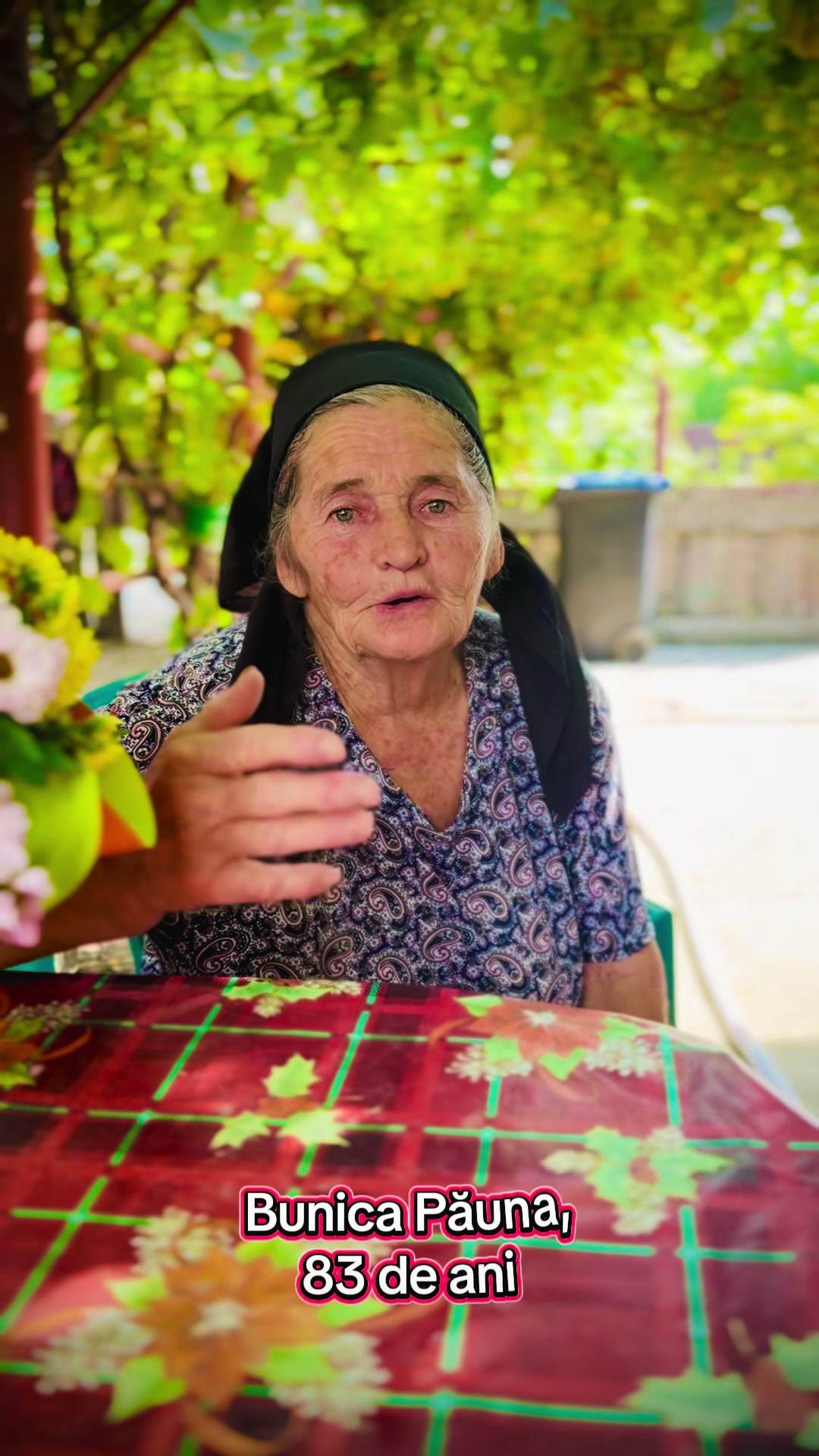 @Alina Florentina Vișan