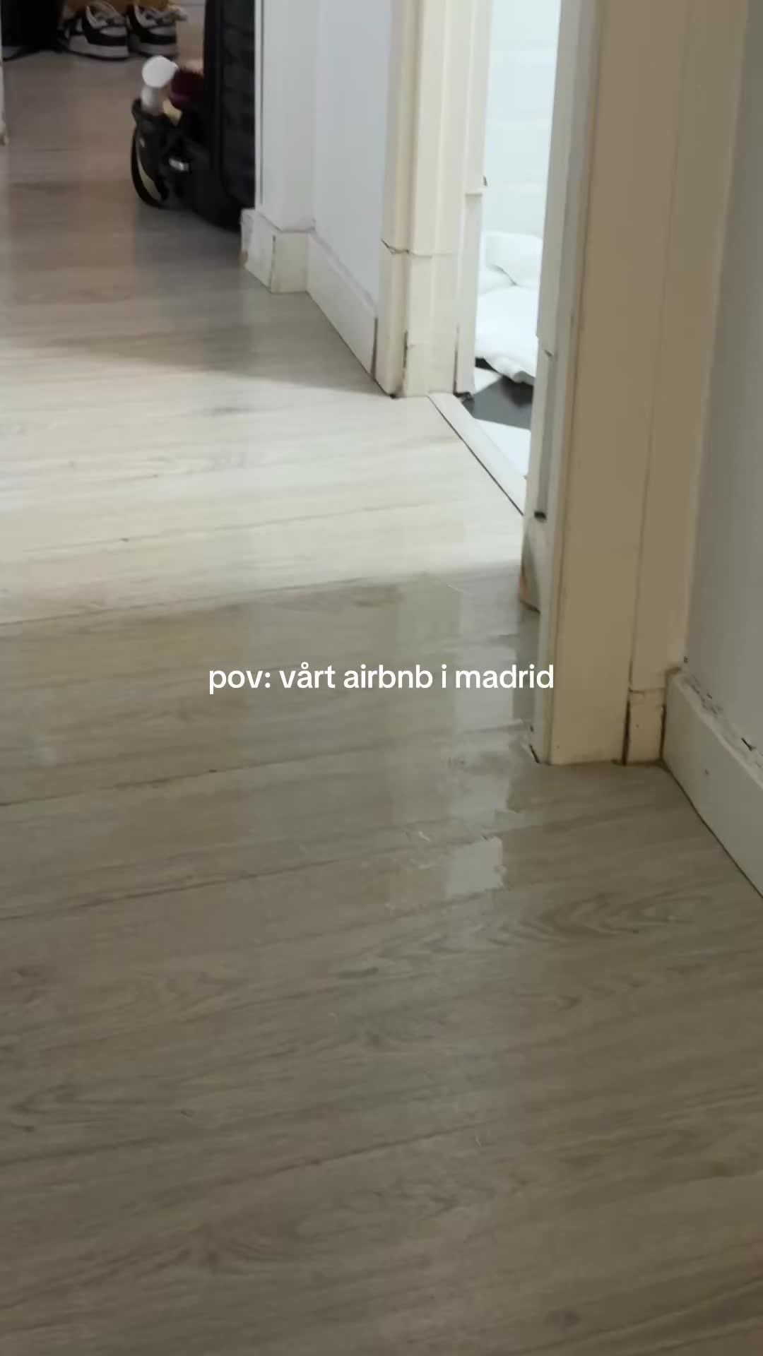 @ELEONOR LÉONE 🦋