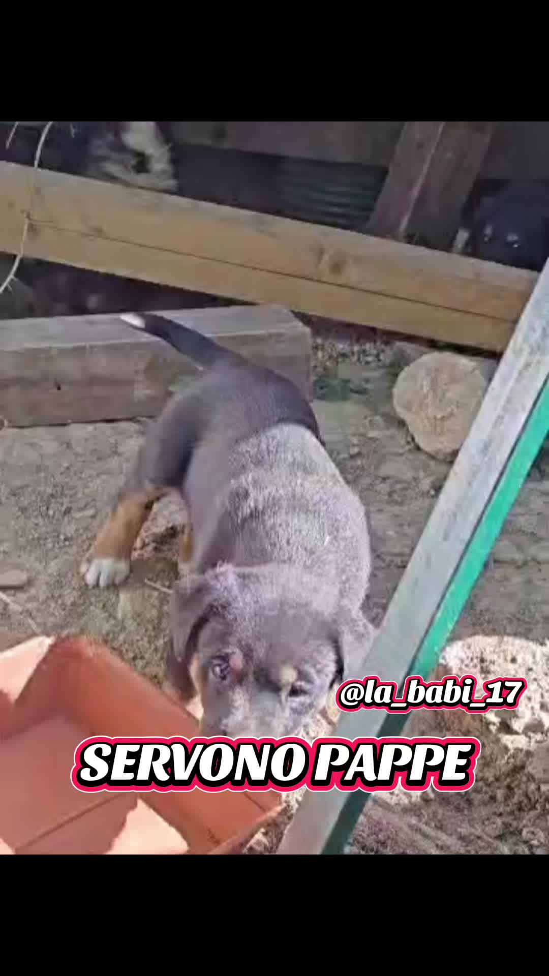 @la_babi_17