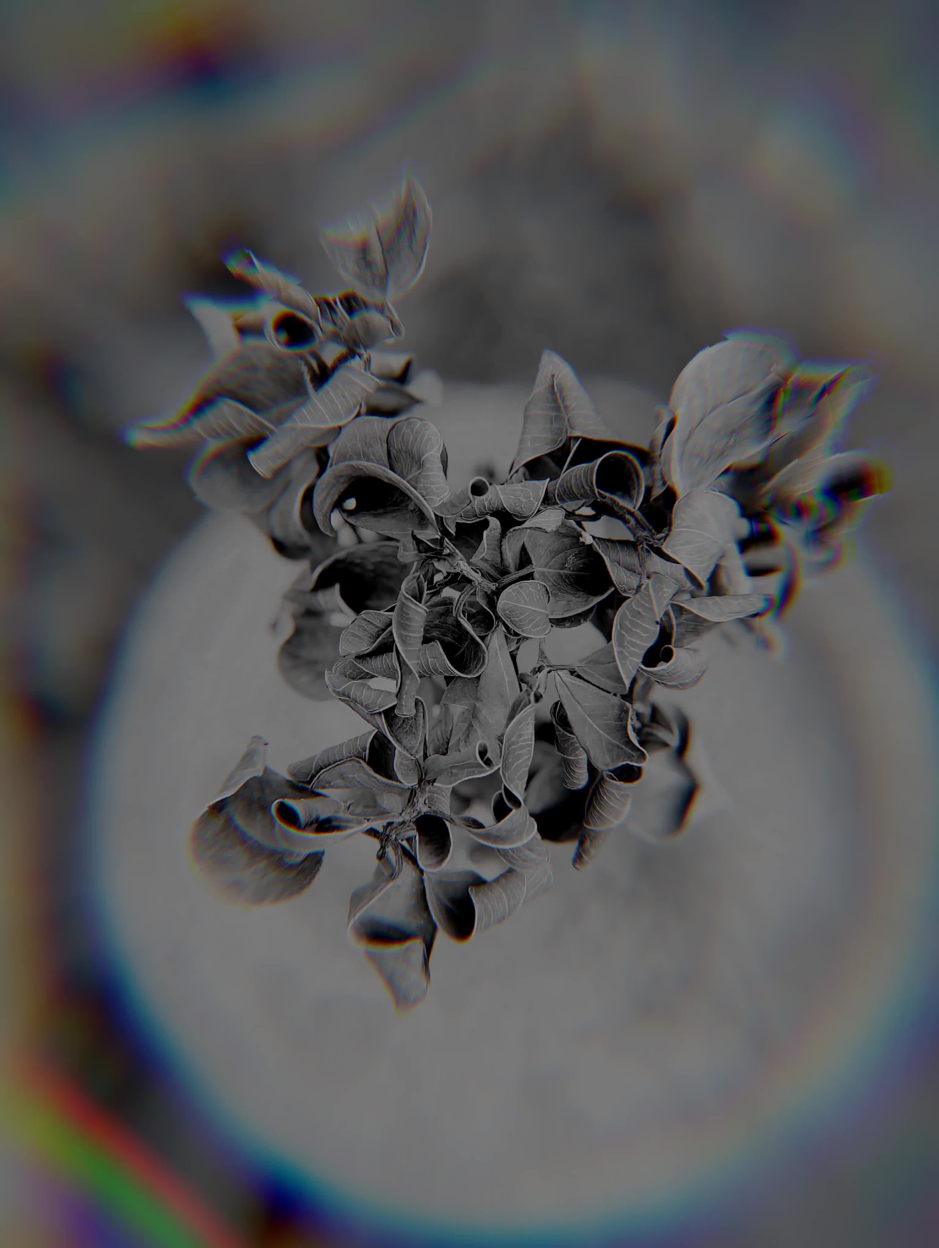 @❤𝙃𝘼م𝘼𝘿 𝙒𝙍𝙄𝙏𝙀𝙎🤍