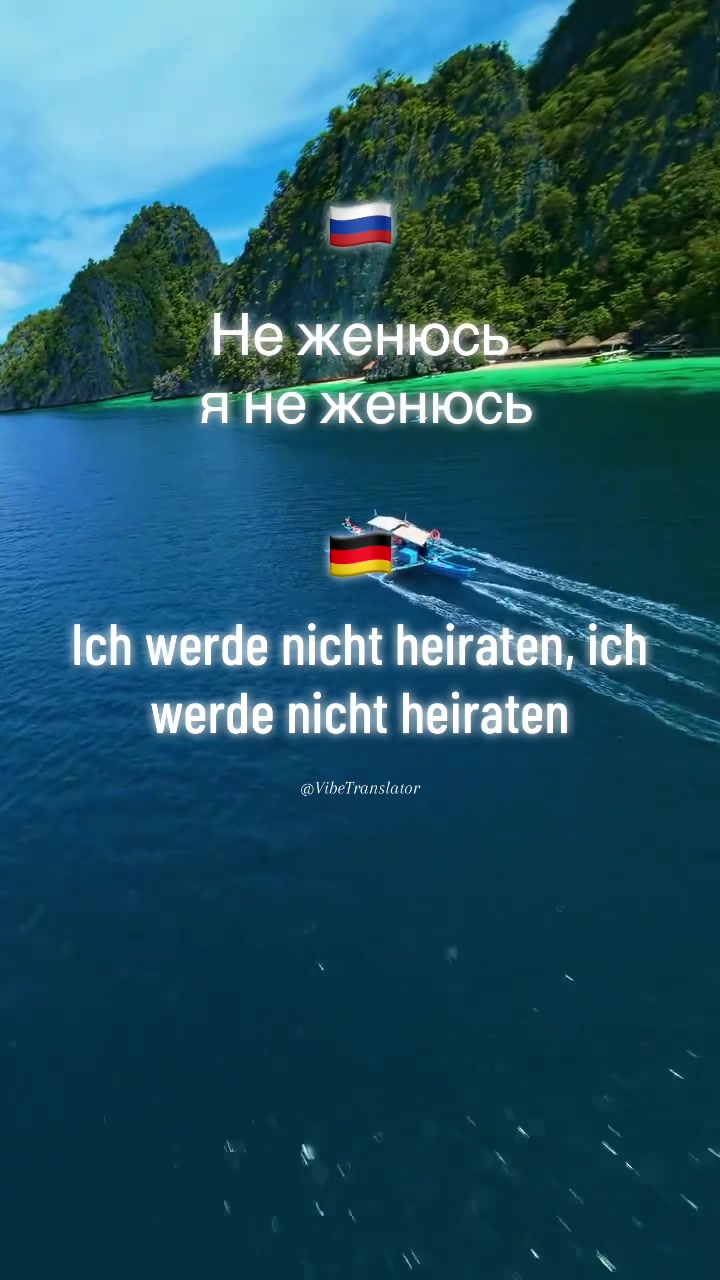 @VibeTranslator