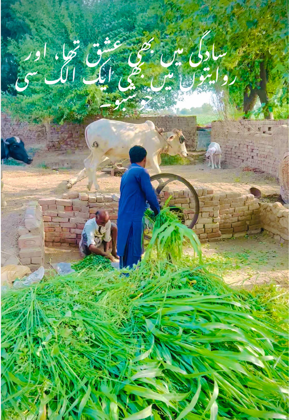 @میرا خوبصورت گاؤں