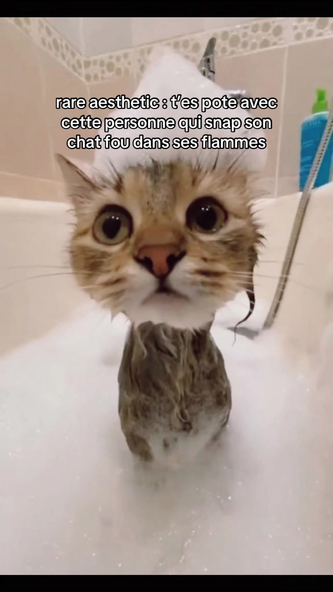 @charlottespam