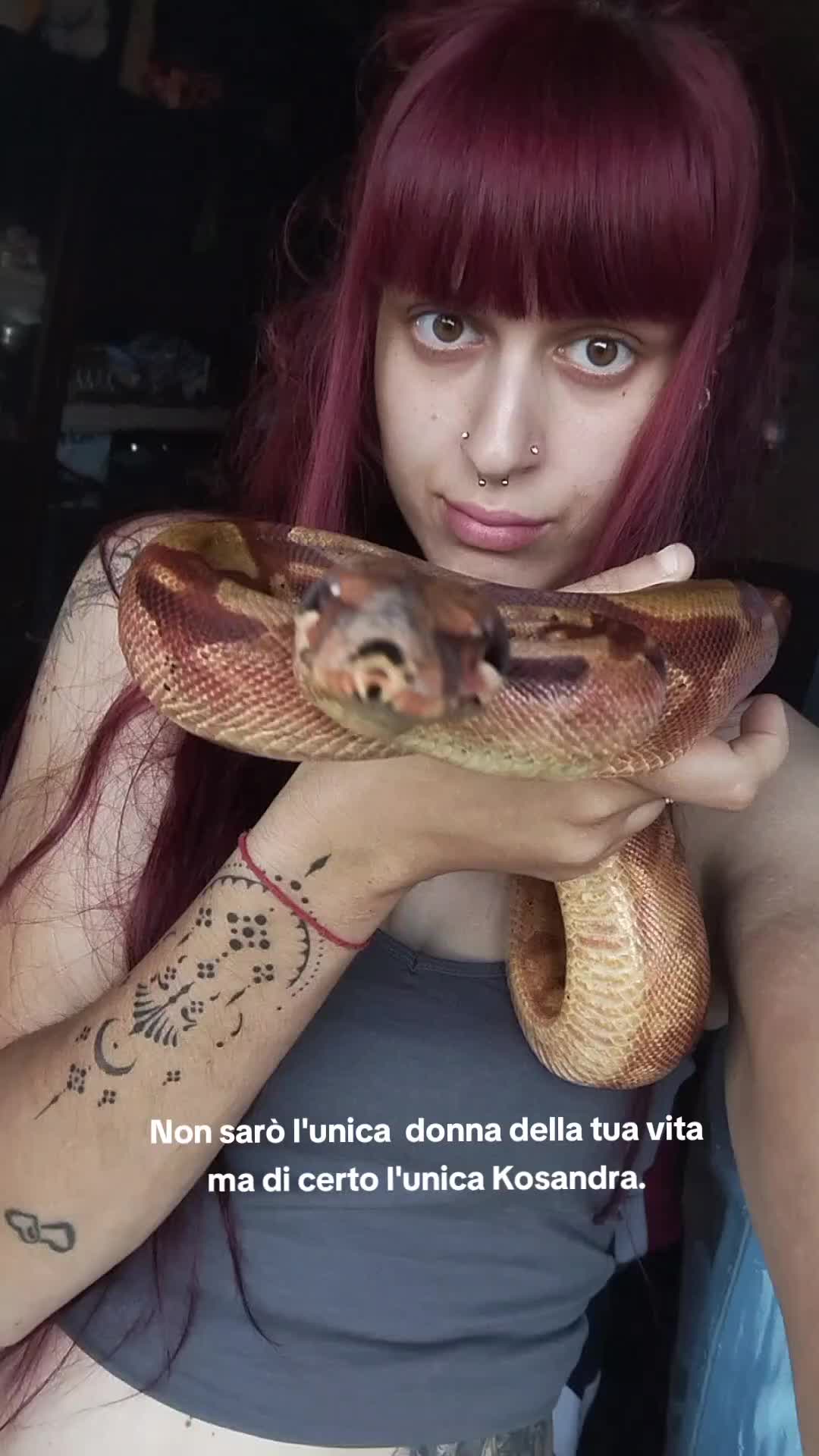 @tricksyyydaisyyy