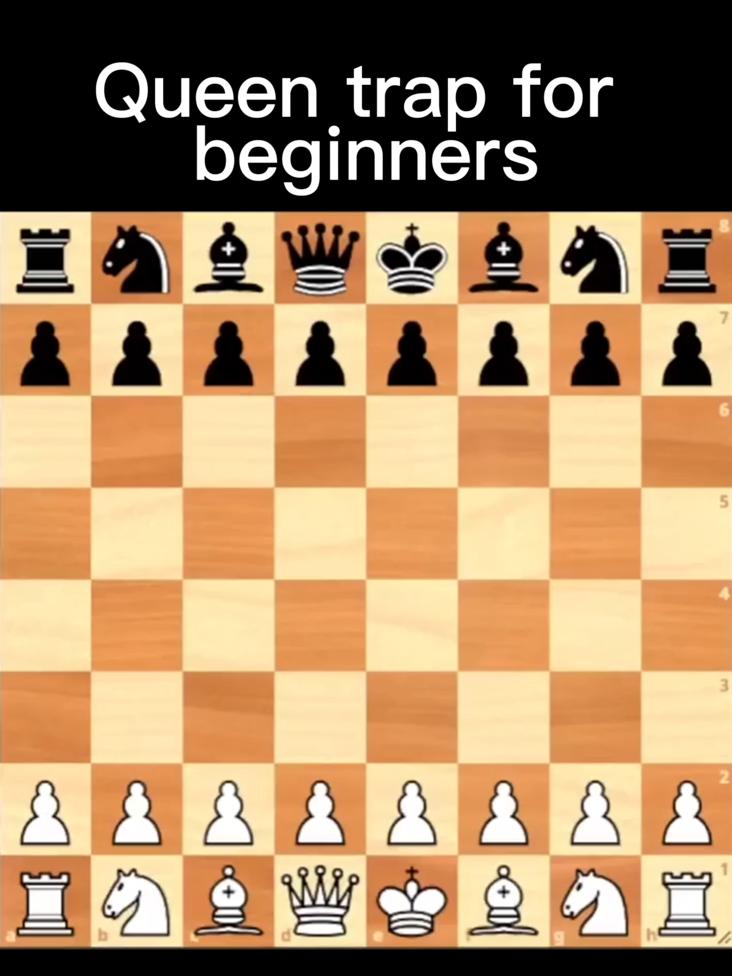@chessline.io