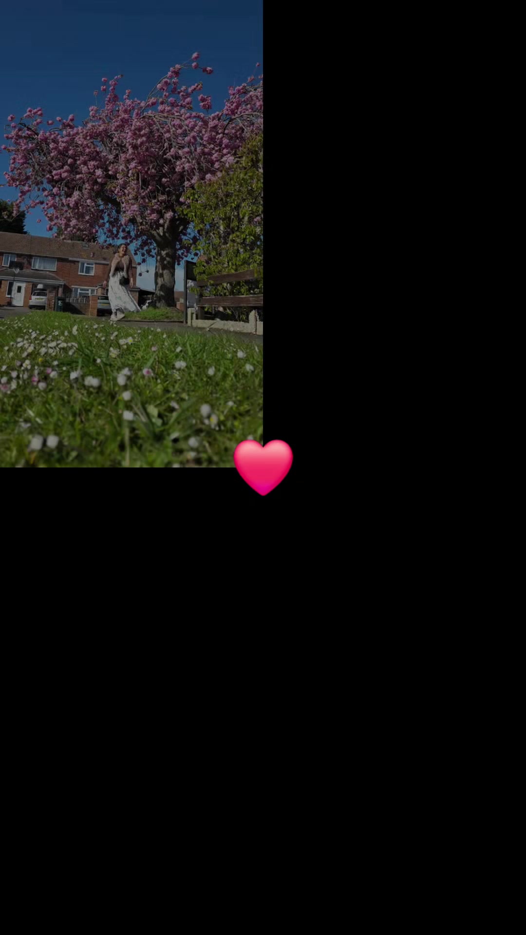 @rijalkops