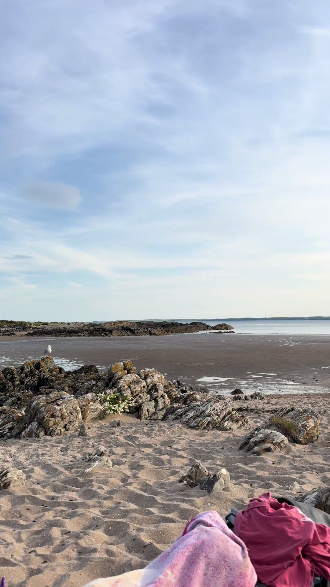@AngelaFaux