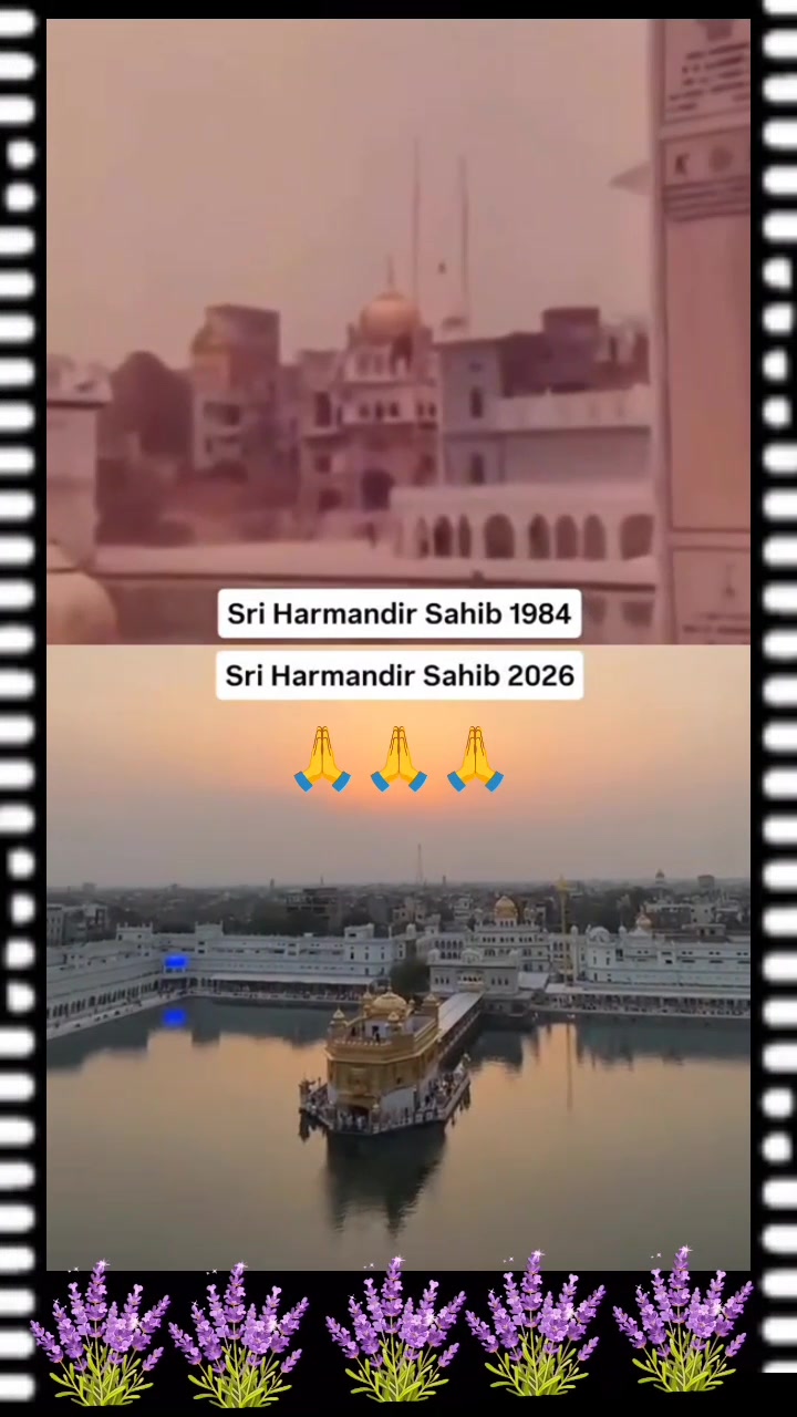@singh_bobylubana
