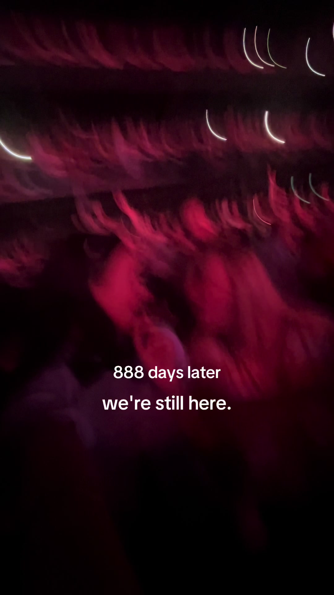 @lucy ౨ৎ
