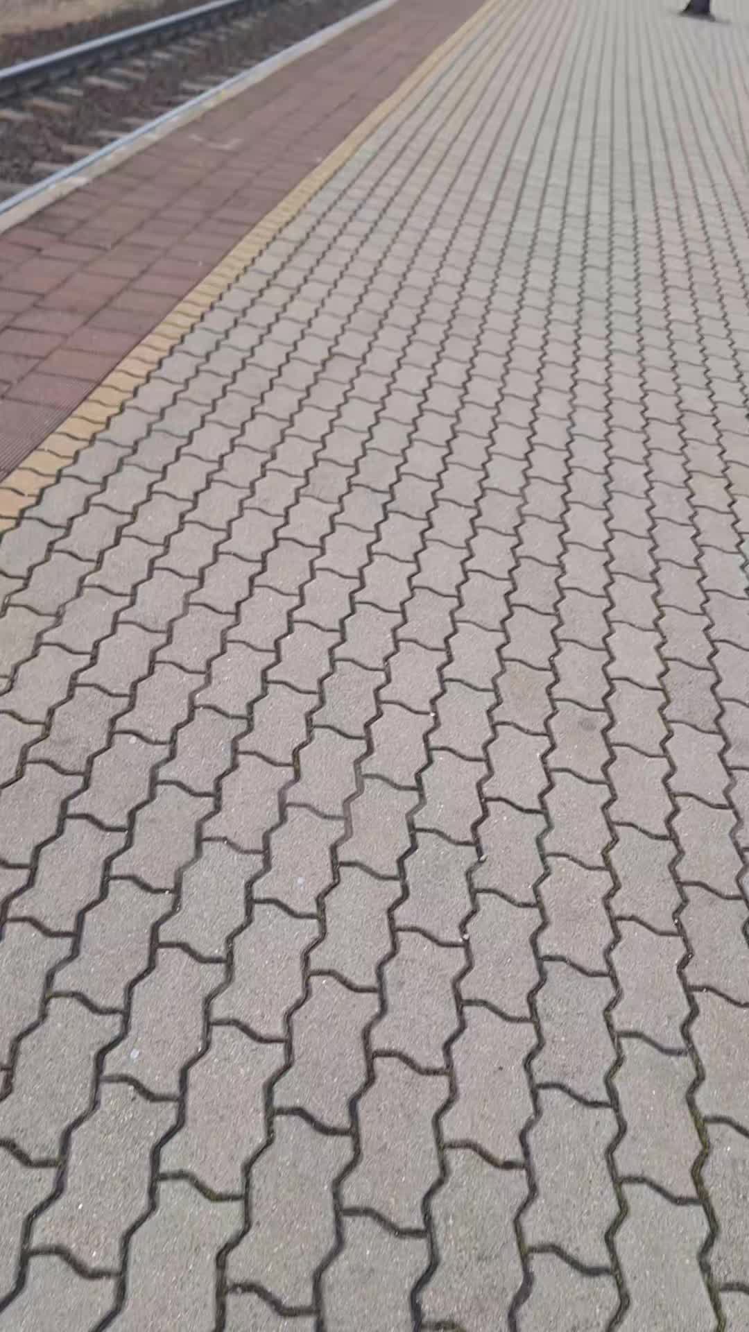 @Balazs806