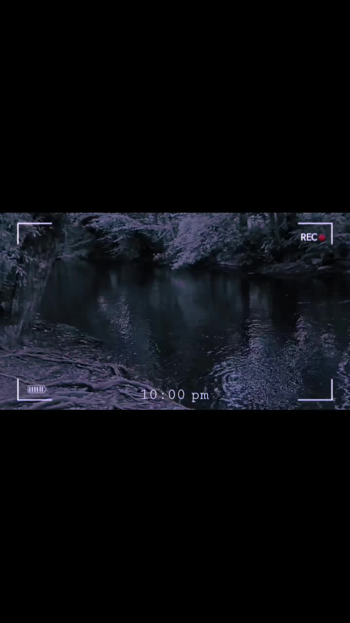 @🦇