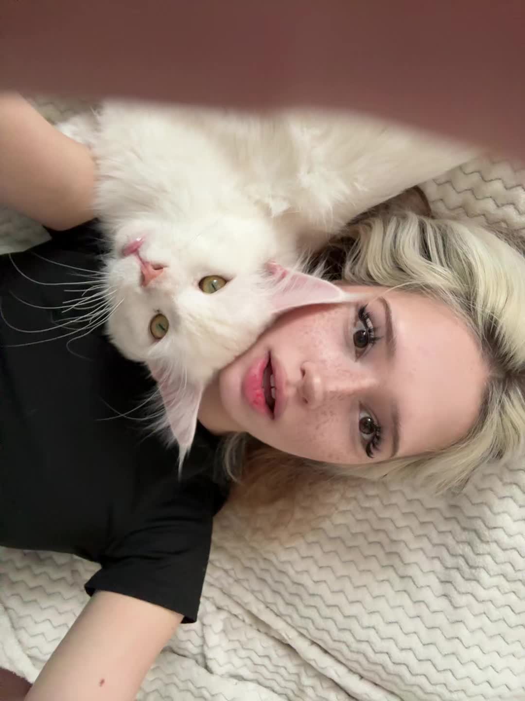 @Пчела