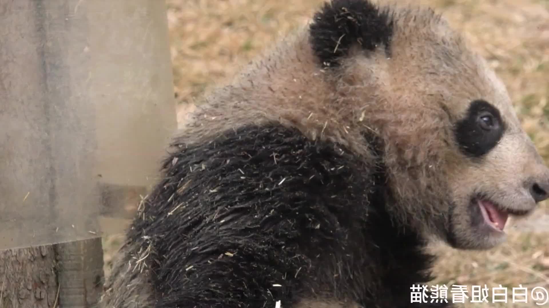 @tionpionr