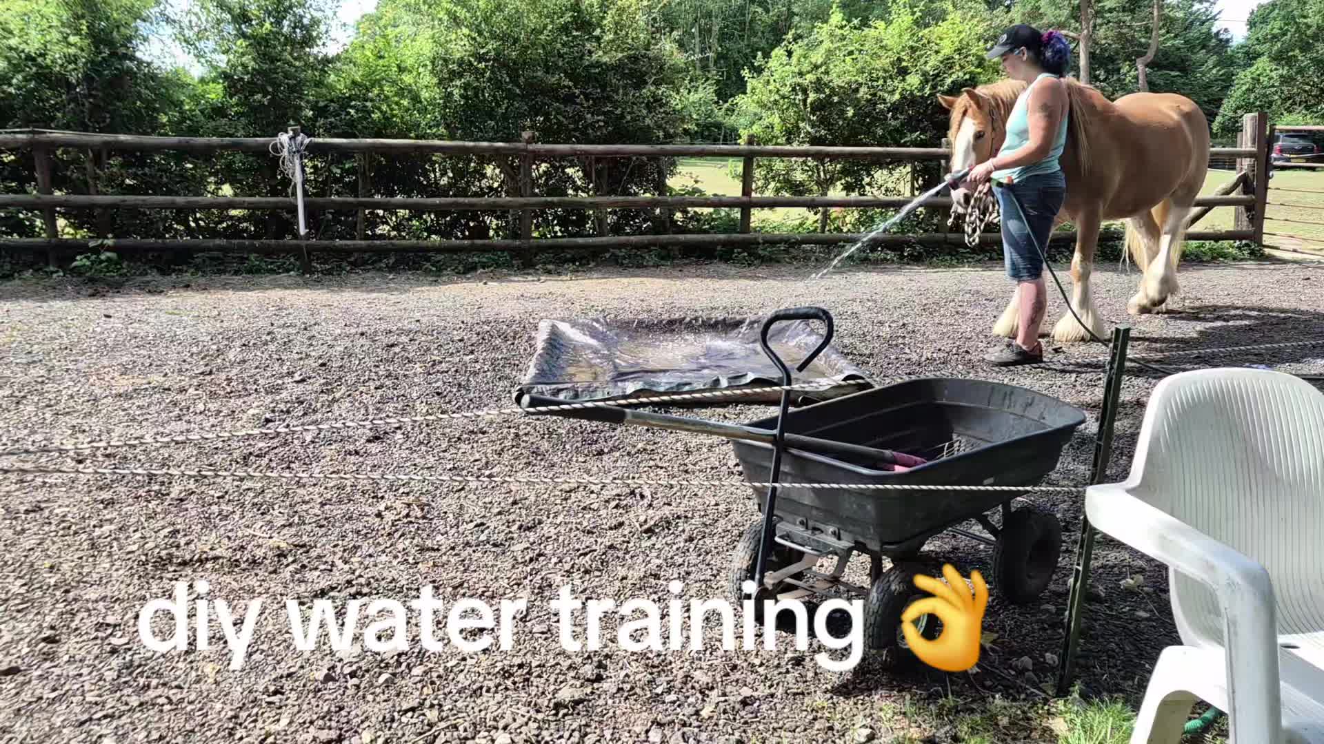 @KcPonyPals