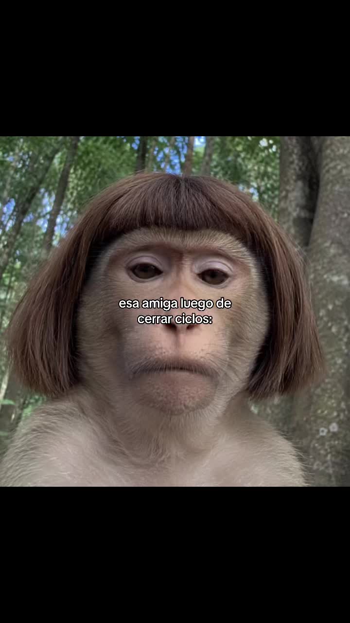 @daismined