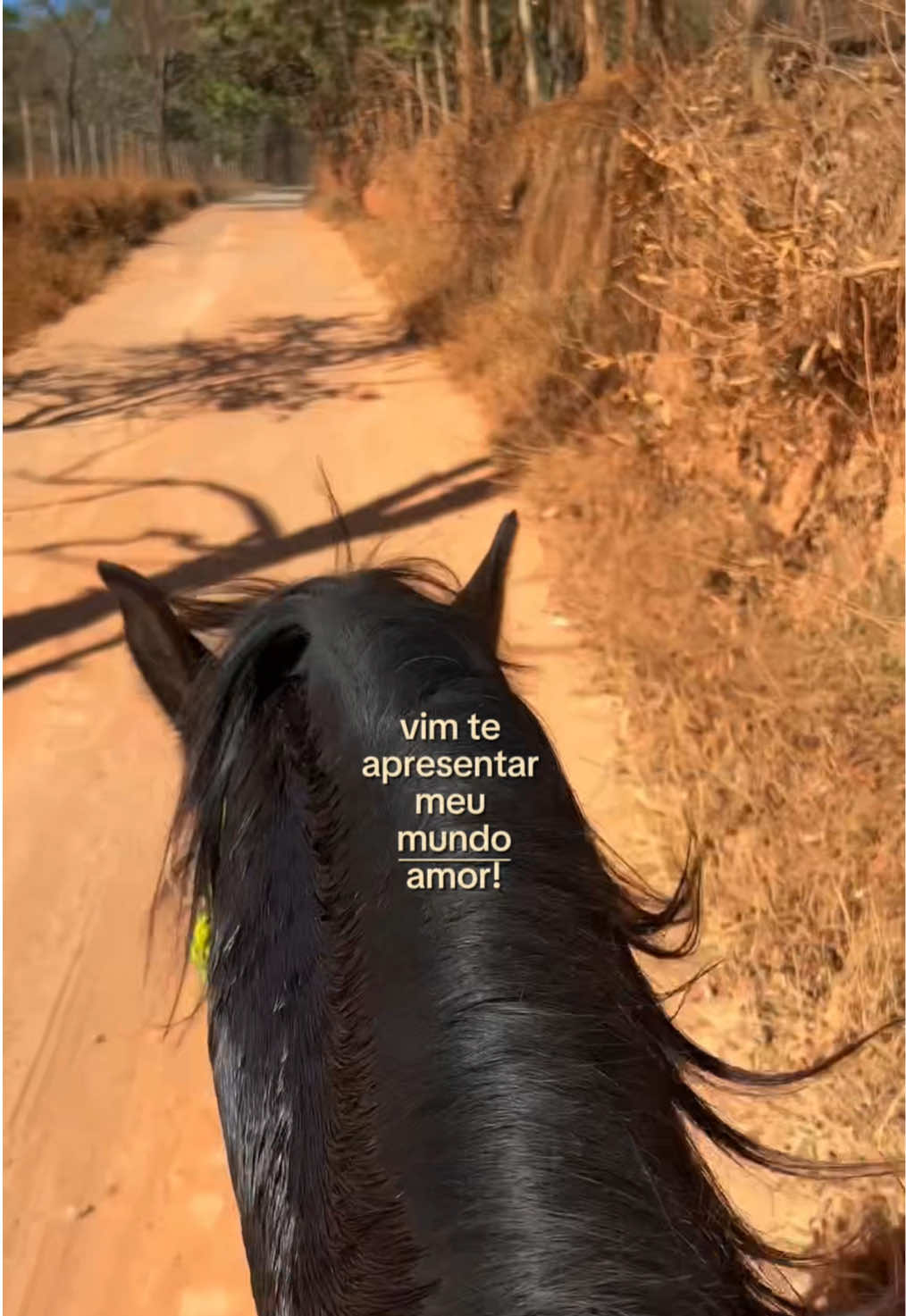 @Nayara Rocha🐴