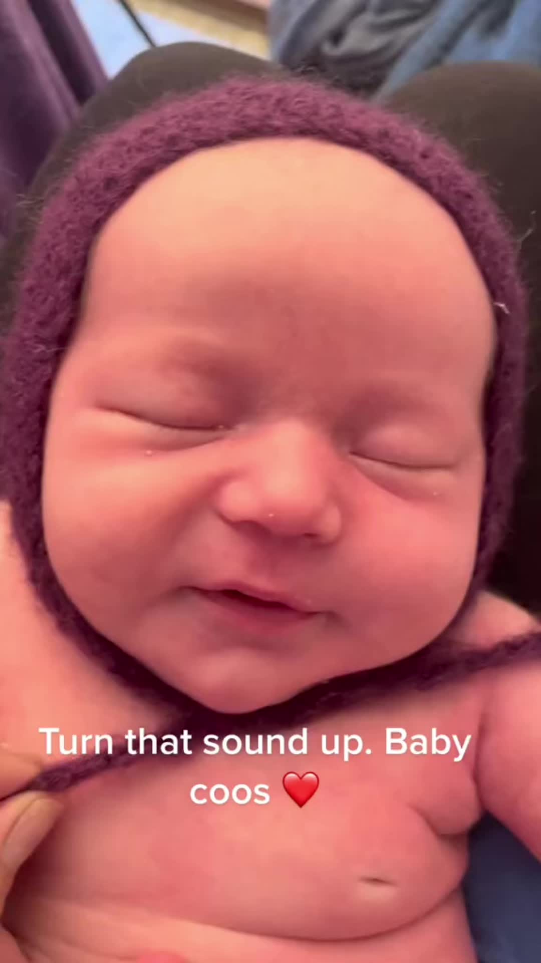 @mjvanicek