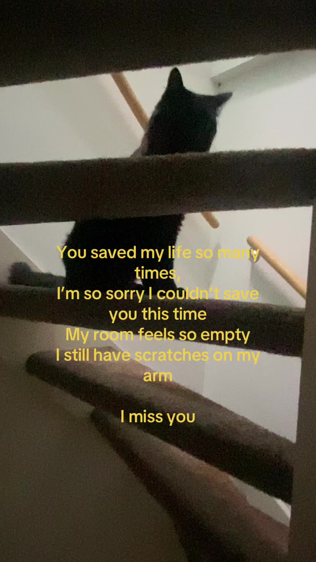 @screaming.into.the.voidd