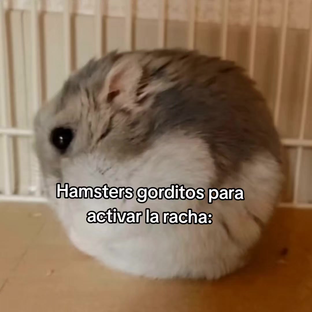 @goodvibessxd