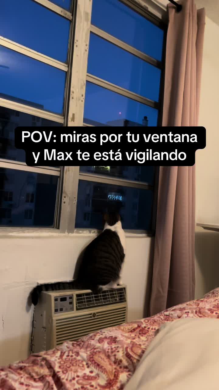 @Cathia Ortiz