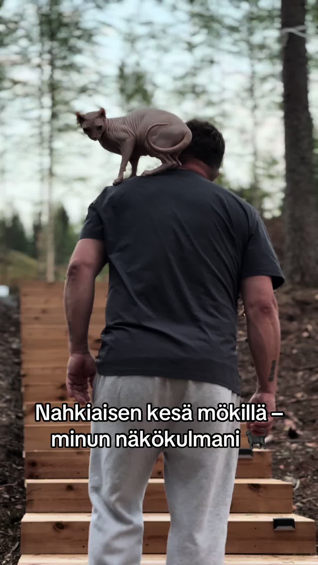 @komisantto