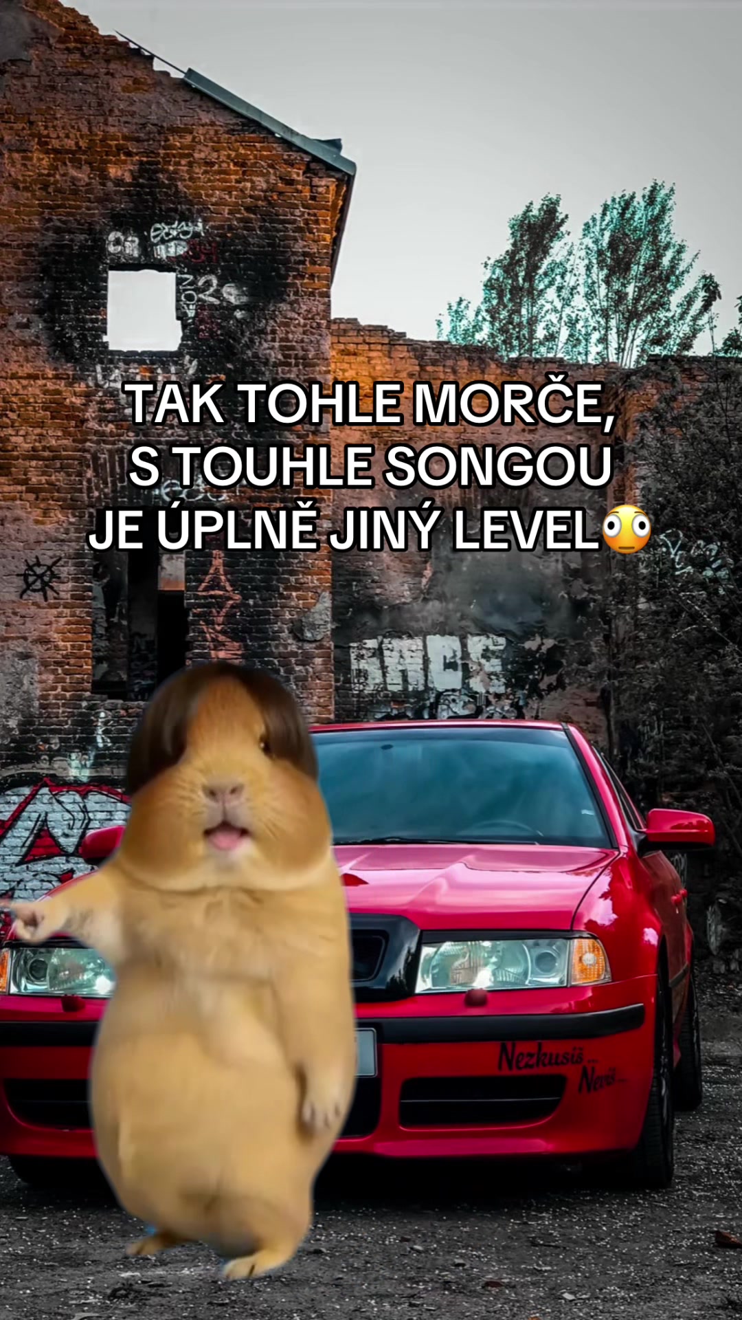 @𝕄𝕊𝕊𝕎