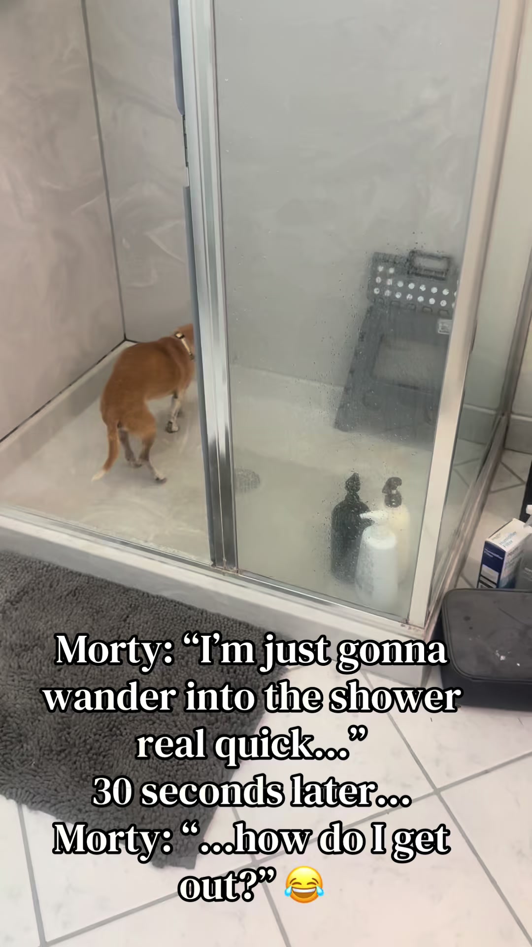 @EzraSharksIslandOfMisfitz