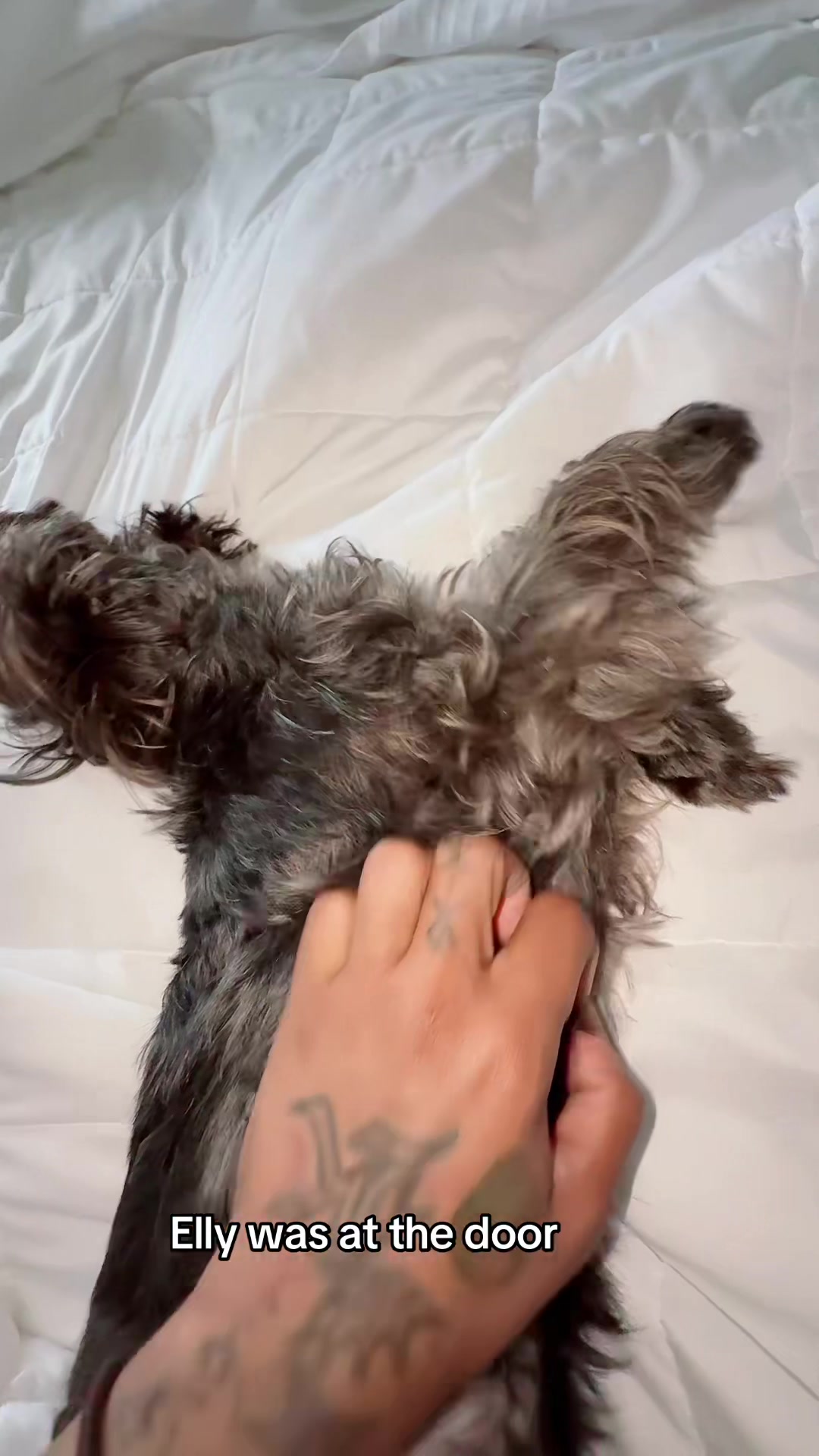 @Roethegoat🐐