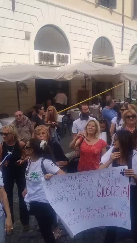 @SOS ADOZIONI4ZAMPE ONLUS