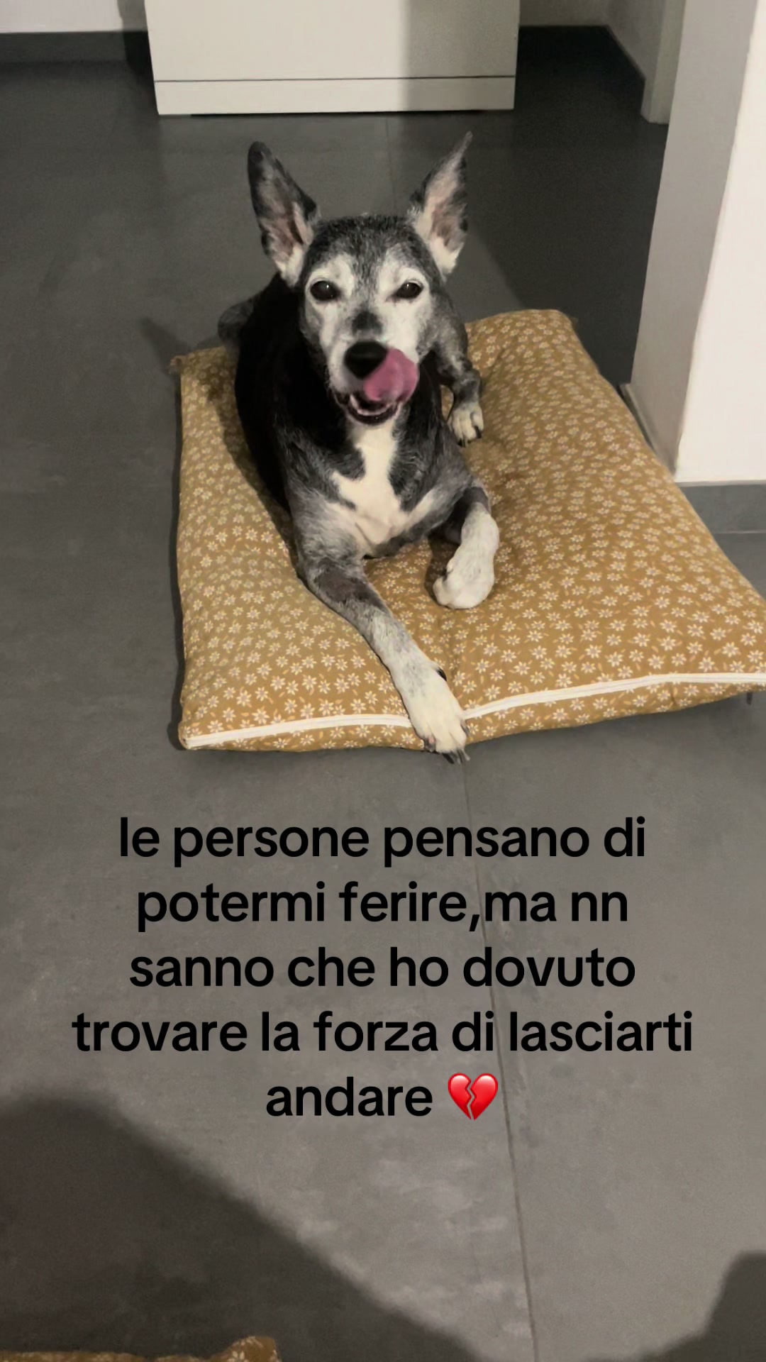 @Miriam Trisciuzzi