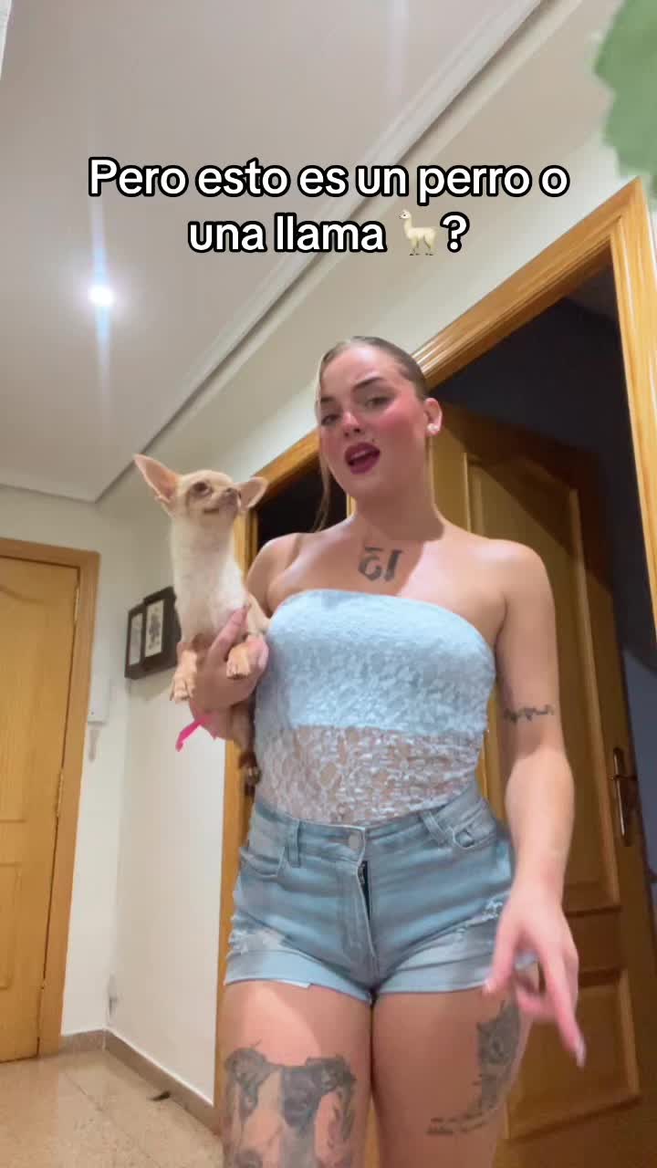 @Oye.syri