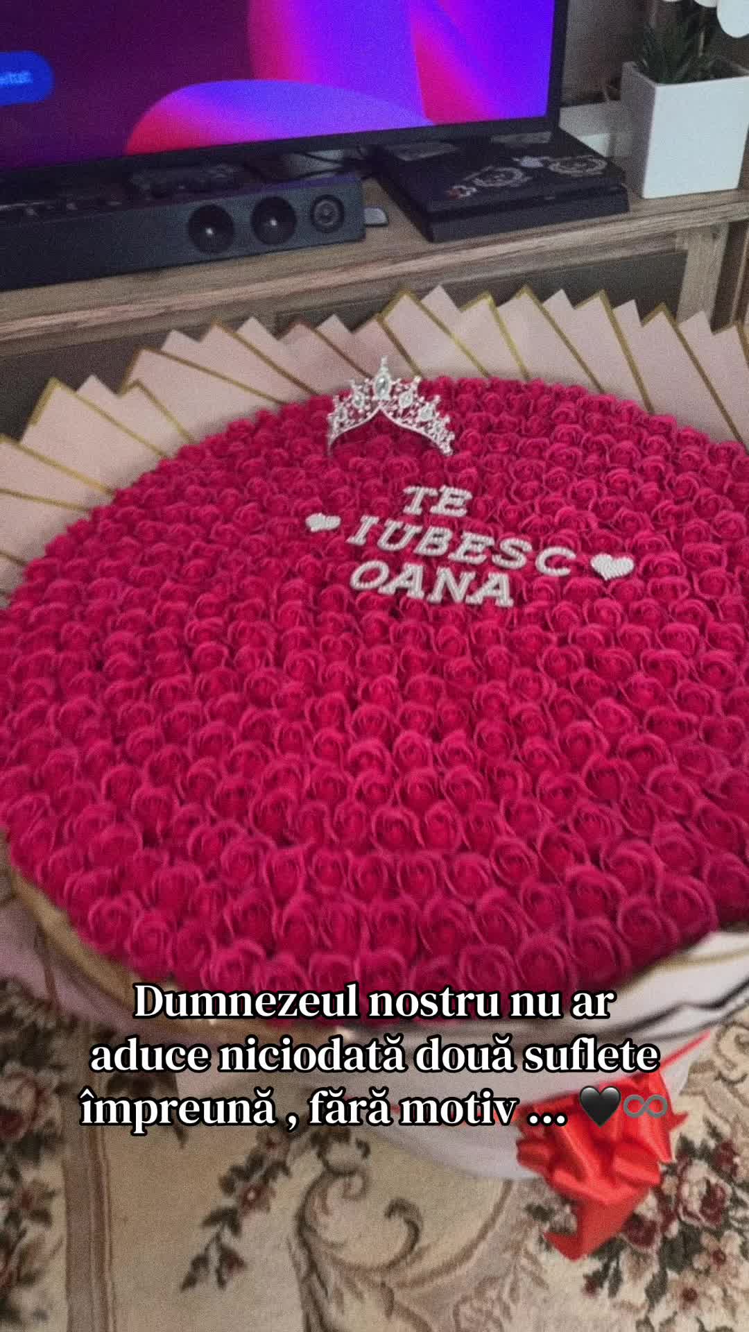 @𝑶𝒂𝒏𝒂 🫶🏻 𝑳𝒂𝒓𝒊𝒔𝒂