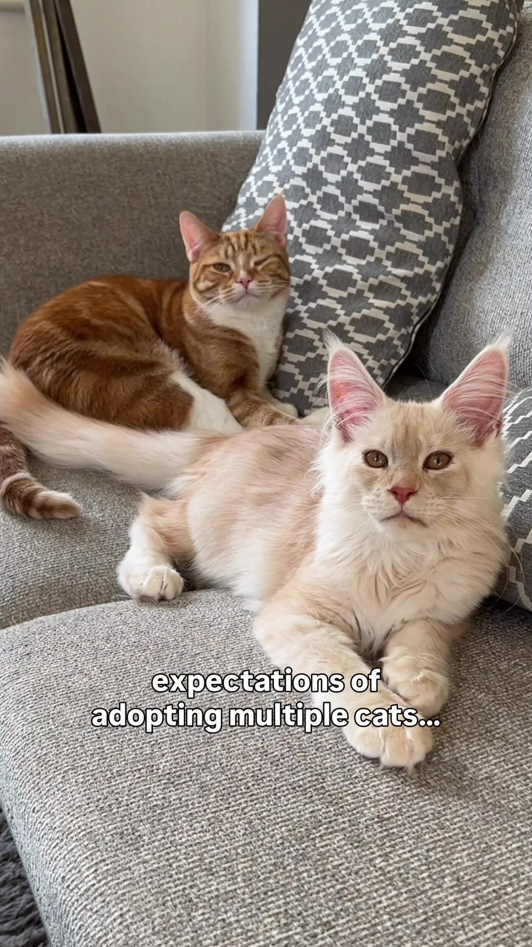 @lola_and_popps