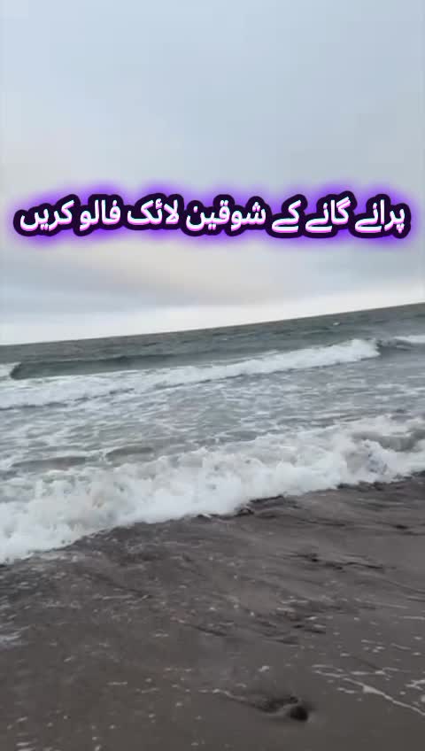 @Haya