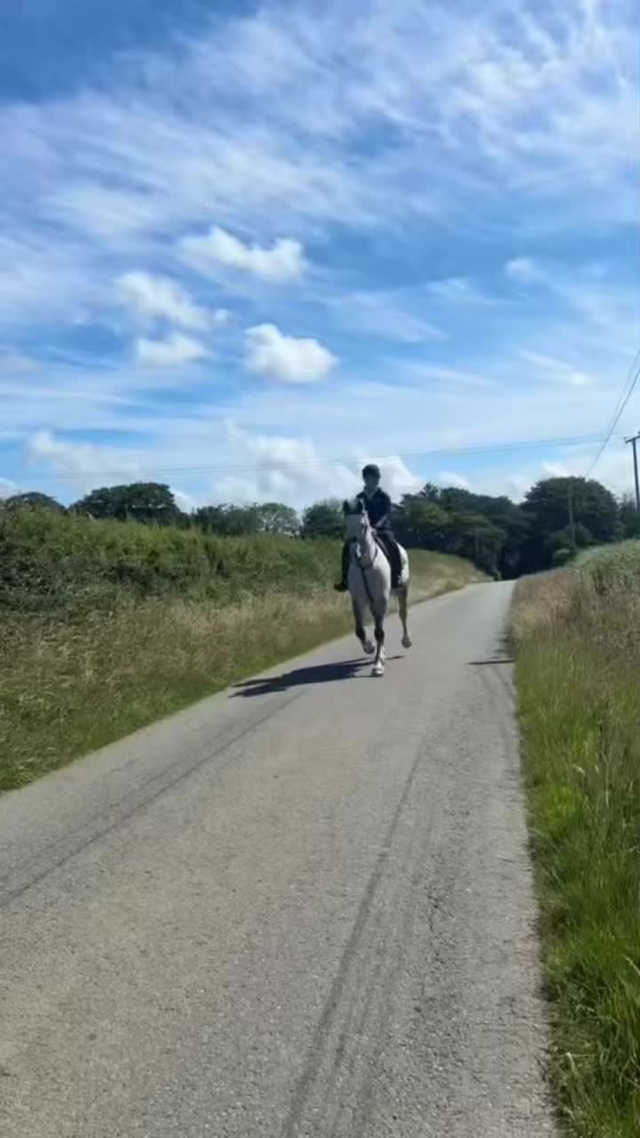 @amelia_showjumping2