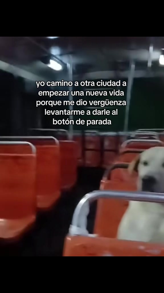 @memeoo