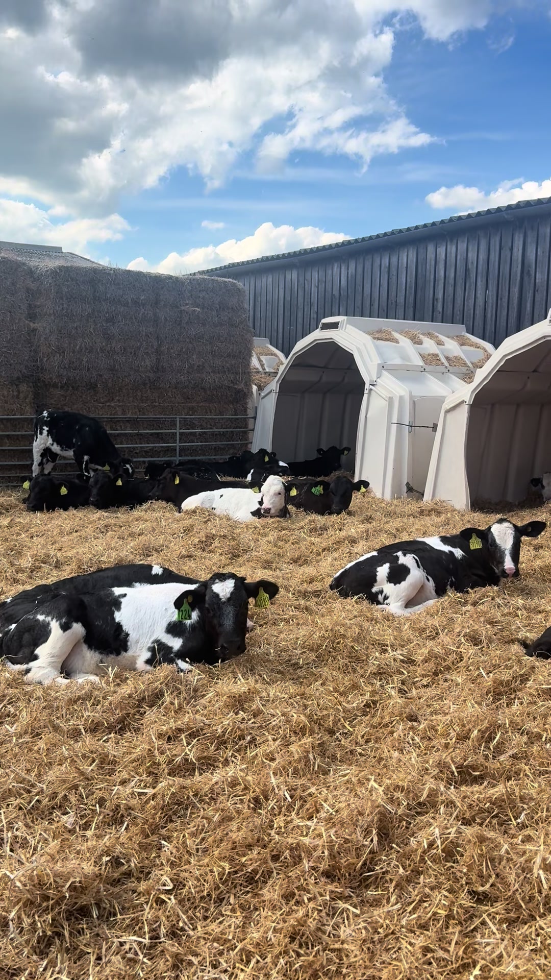 @Life On The Farm - Cheshire