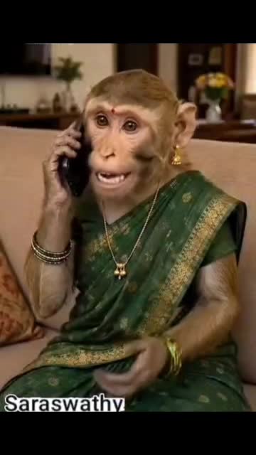 @Saraswathy k