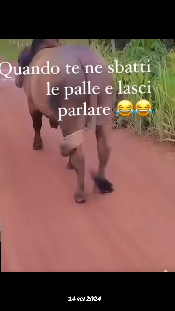 @😏INGLESE😘STRANIERO💪ANGELO💯