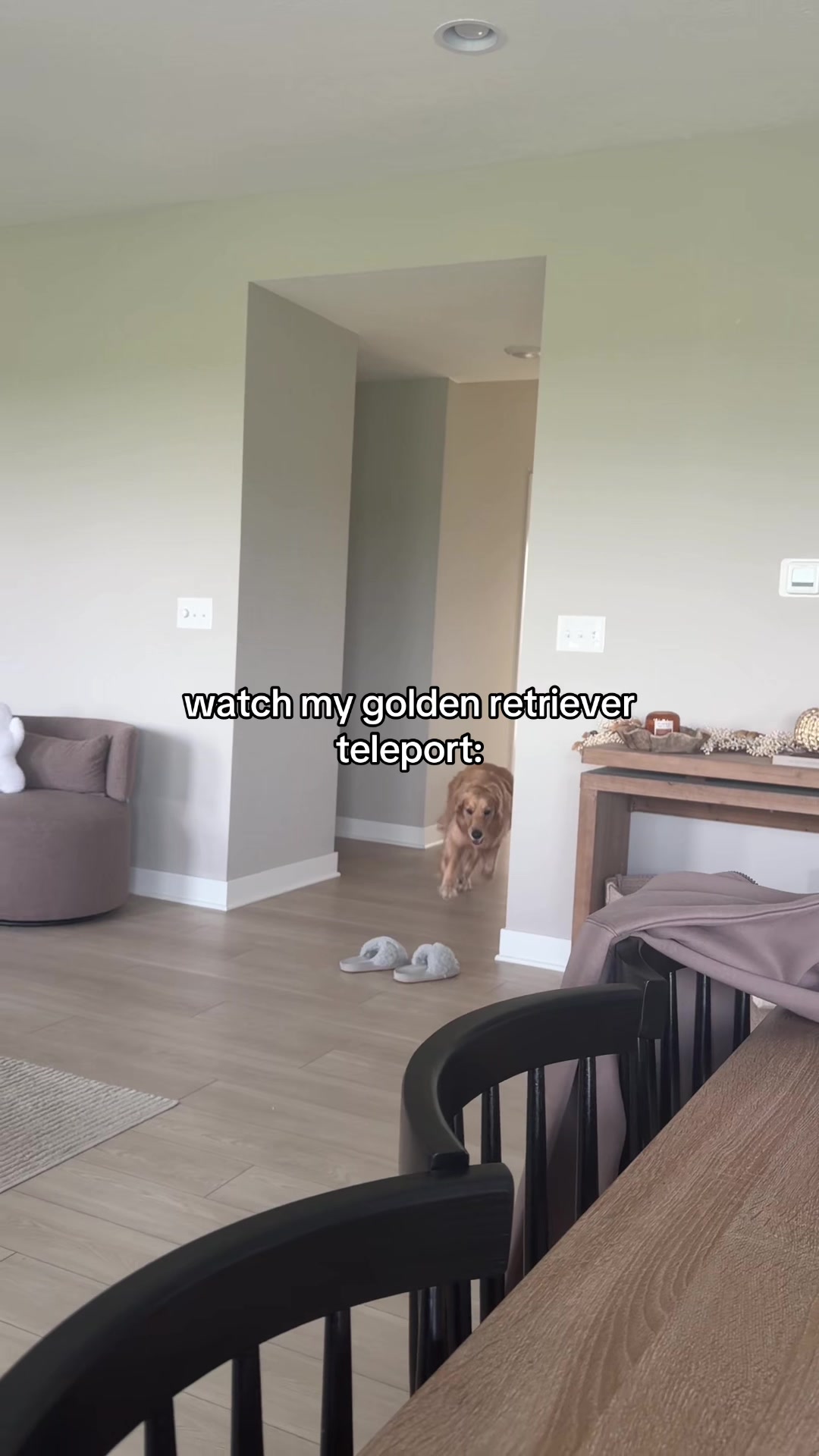@novathegoldenn