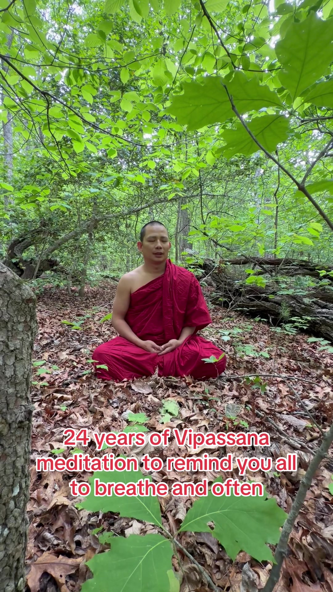 @Ajahn DAO