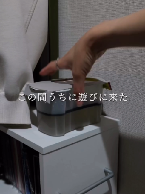 @KyotoTravelJP