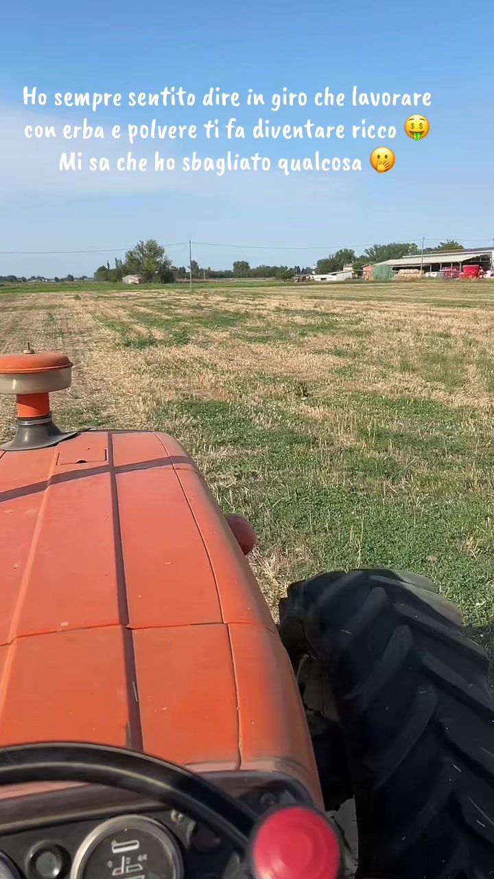 @Mirko Farmer