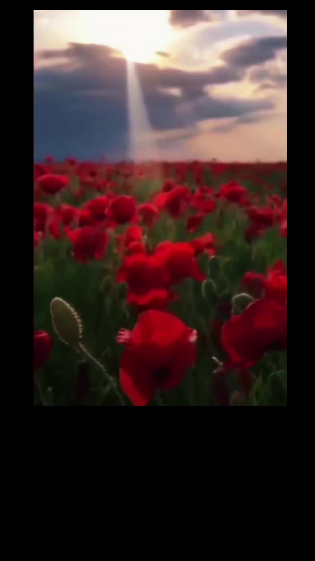 @🙋🏻&zwj;♀️😊Sobinick (Hanka)