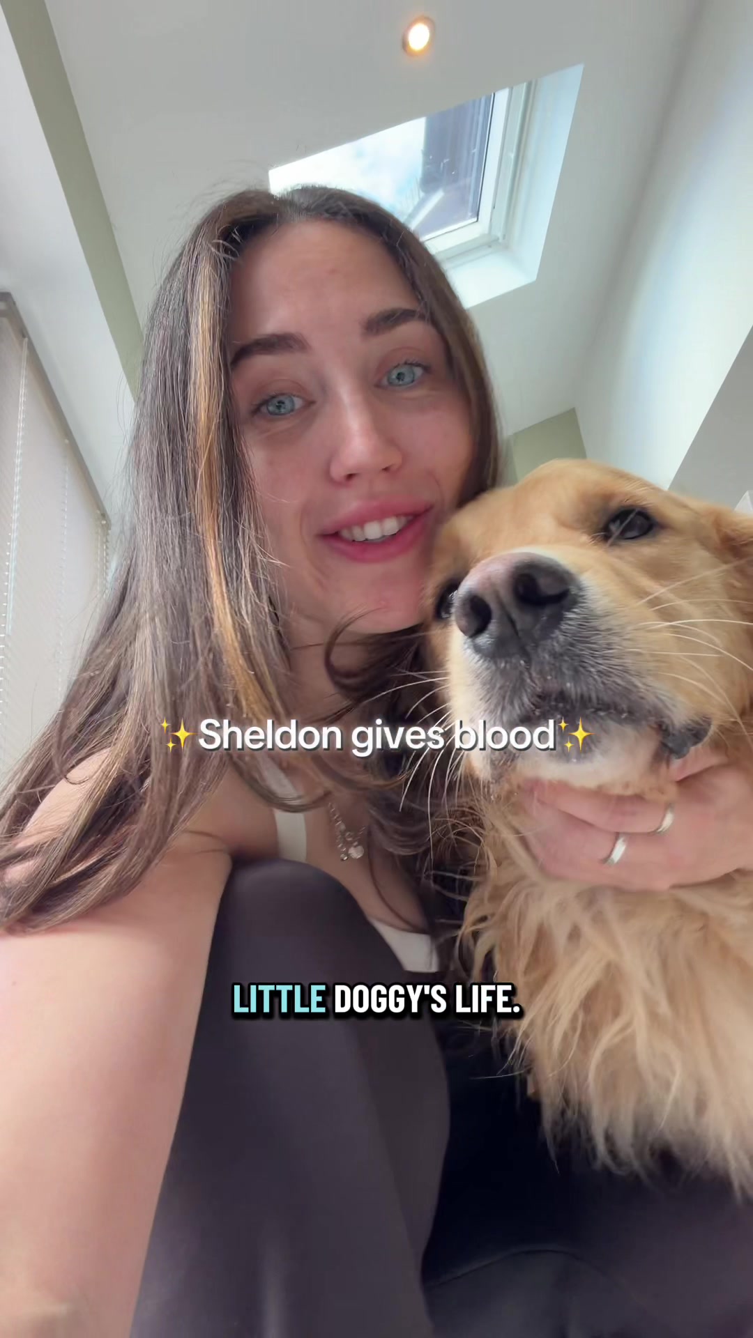 @Sheldon The Retriever