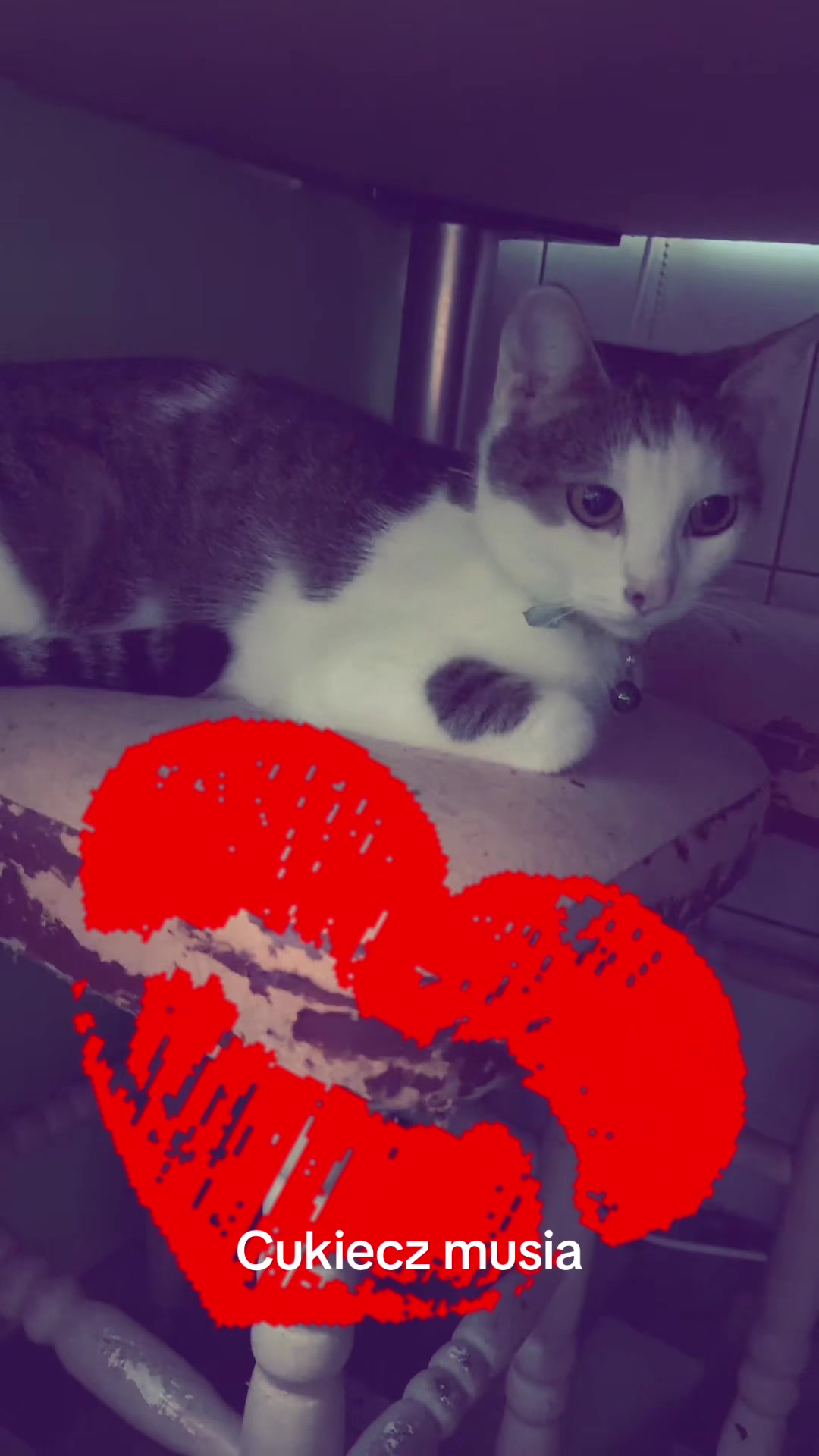 @💋🫶 Karolina 😈Marchwacz🐶🐱