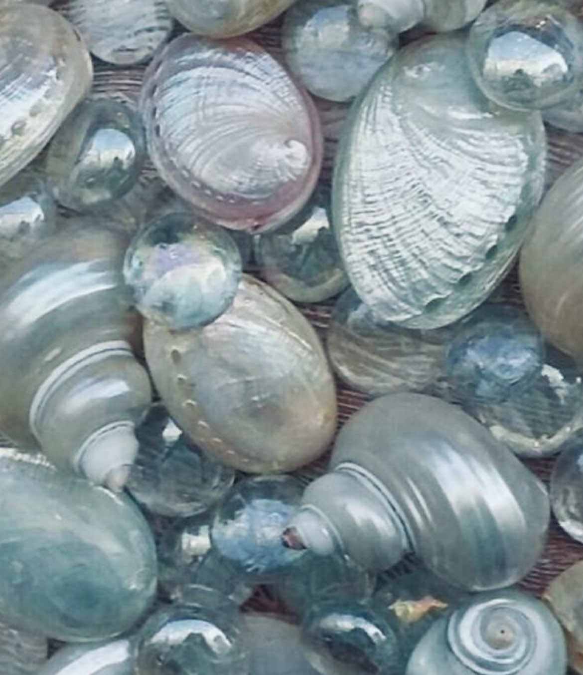 @𖤐⭒๋࣭ мιмкα ⭑