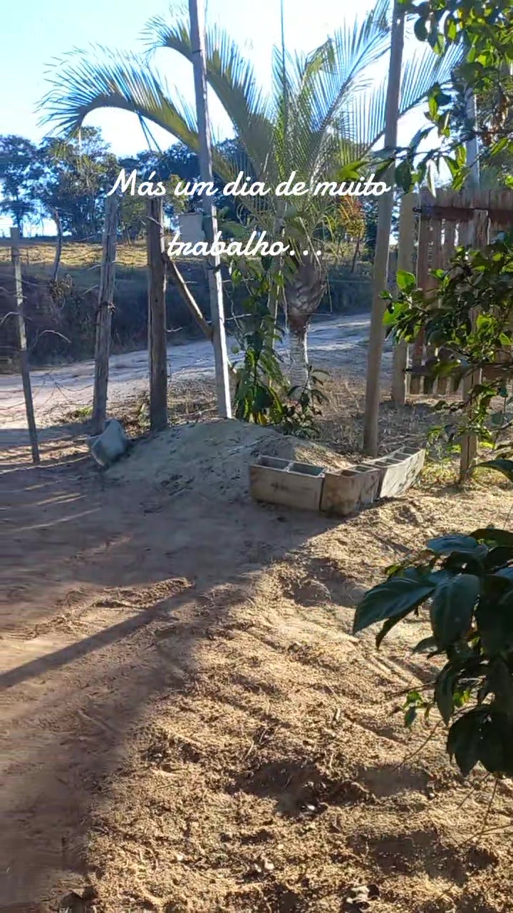 @Marlene Alves